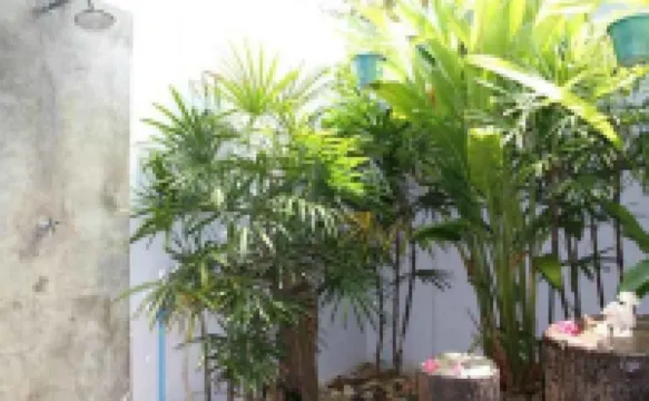 โอโซน รีสอร์ท ปราณบุรี โรงแรมในอำเภอ ปราณบุรี