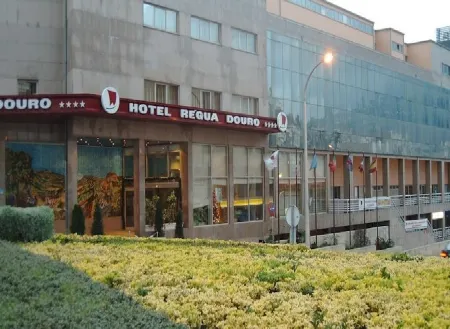 Hotel Regua Douro
