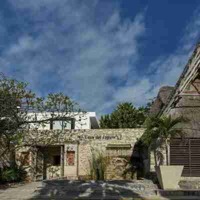 Casa del Jaguar Beach Hotel Hotel Exterior