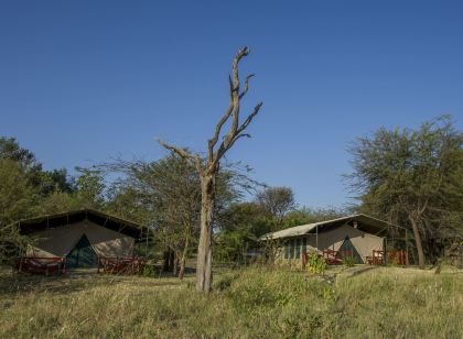 Mbuzi Mawe Serena Camp