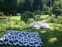 Tor Rooms Hotels in Ickham and Well
