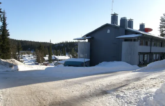 沃瑟林赫爾米飯店