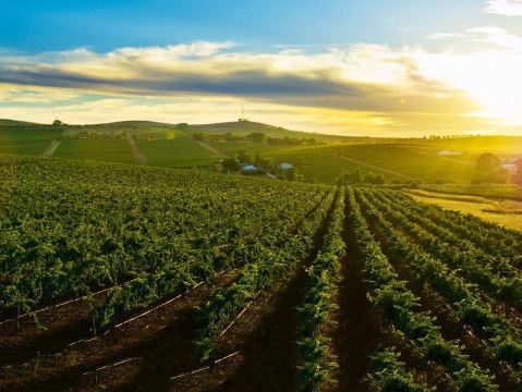 Clare View Accommodation - Housity