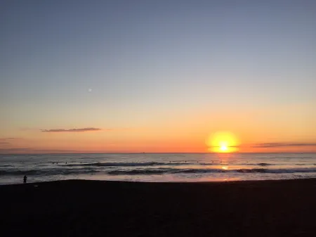 South Bird Inn Отели в г. Минамибосо