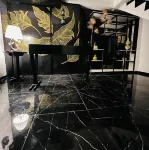 Casa Antonio Bayawan City