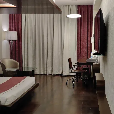 Cocoon Luxury Business Hotel
