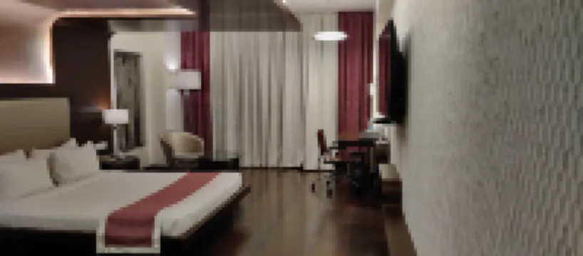 Cocoon Luxury Business Hotel