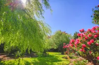 Diamond Hill Country House Hotels in Уотерфорд