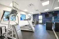 Holiday Inn Express & Suites FESTUS - SOUTH ST. LOUIS by IHG - gimnasio