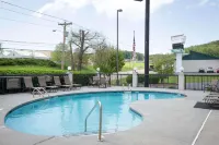 Comfort Suites Johnson City Near University - Pools