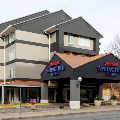 SpringHill Suites Rochester Mayo Clinic Area/Saint Marys Hotels near Shades of Green