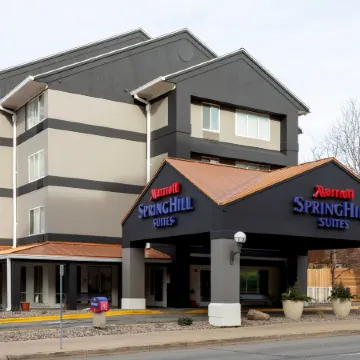 SpringHill Suites Rochester Mayo Clinic Area/Saint Marys