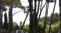 RV호텔 아파르타멘토 트레우말 파크 Castell-Platja D'Aro 호텔