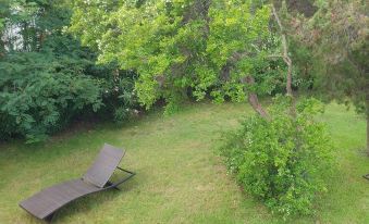 a lush green lawn with two chaise lounges placed in the middle of the yard , surrounded by trees and bushes at Villa Rosè