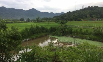 Homely Hagiang - Hostel