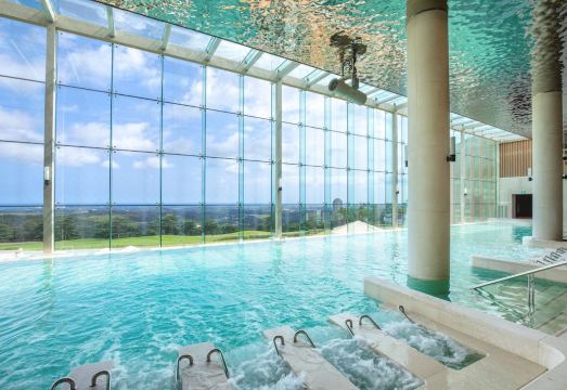 소노펠리체 델피노