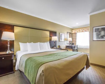 Comfort Inn Carmel by the Sea Hotels in Carmel-by-the-Sea