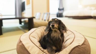 その他 第一滝本館の写真