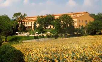 Toscana Verde