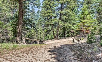 Peaceful and Private Cloudcroft Cabin with Deck!