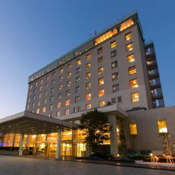 Gifu Grand Hotel Hotels near Nagaragawa Onsen