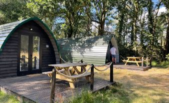 Nuthatch Cabin at Cloudshill Glade