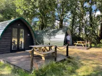 Nuthatch Cabin at Cloudshill Glade Hotels near Studland Naturist Beach