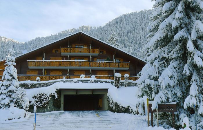 Sapin Bleu 6