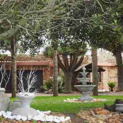 Mossel Bay Guest House Hotel Exterior