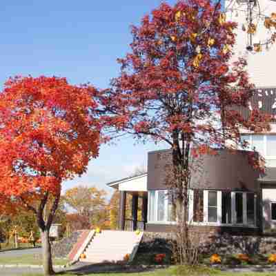 Niseko Hot Spring Ikoino Yuyado Iroha Hotel Exterior