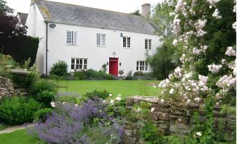 Hollamoor Farm