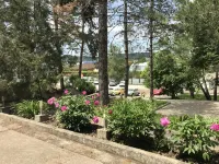 Berezka Hotel Hotels in Gorod Goryachiy Klyuch