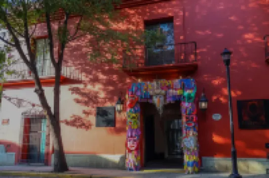 Hotel Boutique Naura Centro Hotels in 