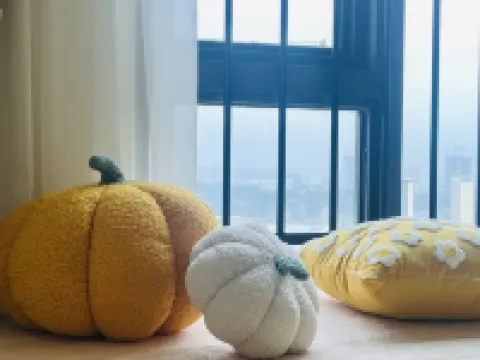 拾柒舍公寓（金花茶大道2號分店）