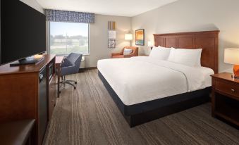Hampton Inn Minneapolis NW Maple Grove