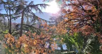 Torre Home - detached house with garden in the city of Bolzano all to yourself!