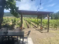 Charming Vineyard Estate Hotels near Wildlife Safari