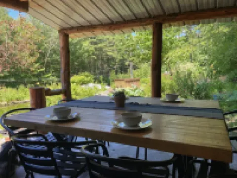 Giant chalet with private lake access. Hot tub. pet friendly. ultimate game room