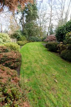 Beautiful Midcentury modern 4 bedroom home Отели рядом с достопримечательностью «Оуэн Роуз Гарден»