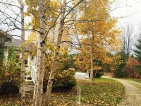 Harbor Springs Cottage In The Woods Hotels in Pleasantview Township