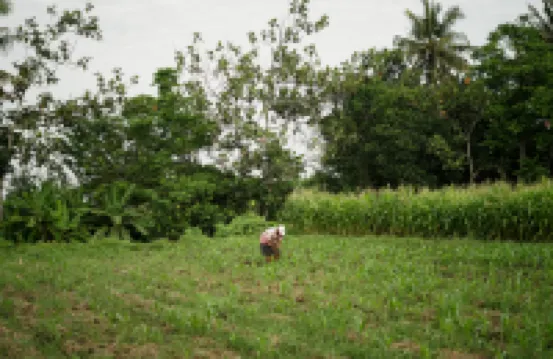 GEMMA VILLA near Tugu Yogyakarta