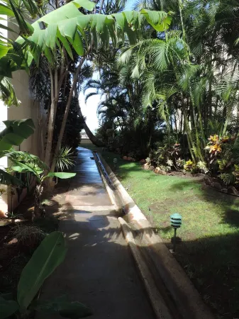 Awesome Maui Oceanfront! Spectacular sunsets! 1Bed/1Bath of Hawaiiana