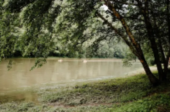 The Cabin at Slate Run