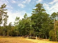 The Old Factory Getaway: Experience Life on the Little Missouri River