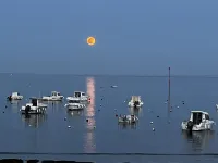 Charming house on the heights of St Jacques with sea view Hotels in Sarzeau