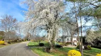 Moo Manor, 10 Mins from downtown Mayberry - 4-Star