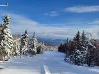 Wow! Only 3 min to Gore Mtn! King bed too