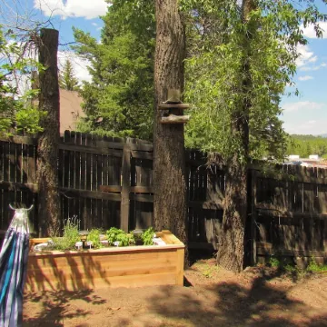 Quaint and cozy cabin Estes Park!  Centrally located and recently remodeled!