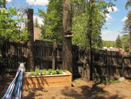 Quaint and cozy cabin Estes Park!  Centrally located and recently remodeled! Отели рядом с достопримечательностью «MacGregor Ranch Museum»
