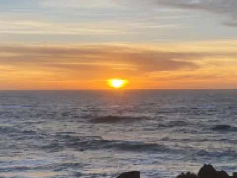Oceanfront Oasis, Sunsets & Crashing Waves Hotels in Moss Beach
